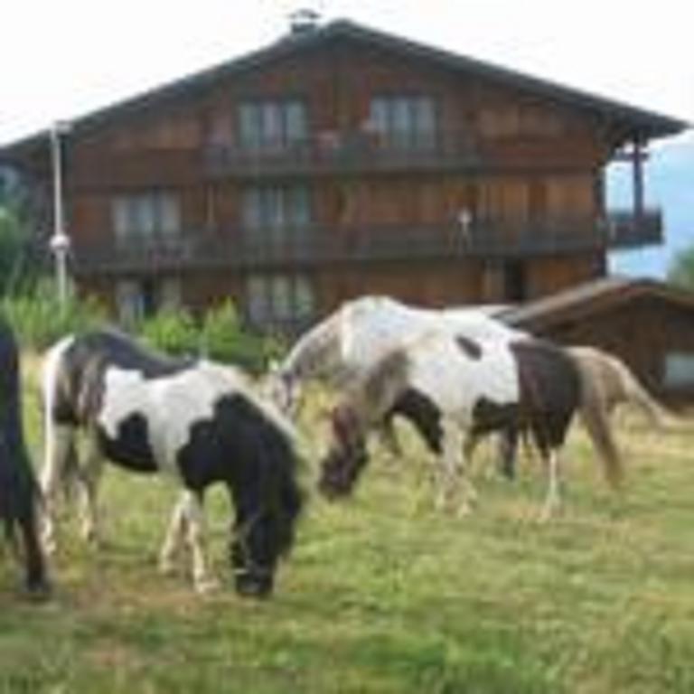 Chalet Gabriel Saint-Gervais-les-Bains Eksteriør bilde